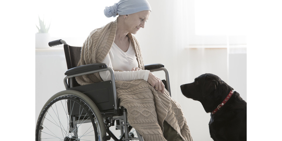 invalid woman in wheelchair