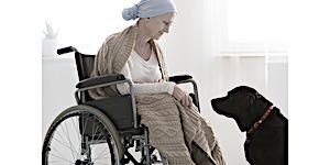 old invalid woman in wheelchair