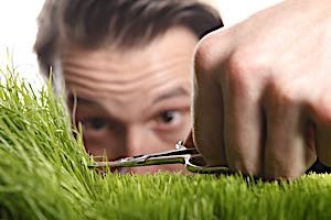 perfectionist man cutting grass with scissors