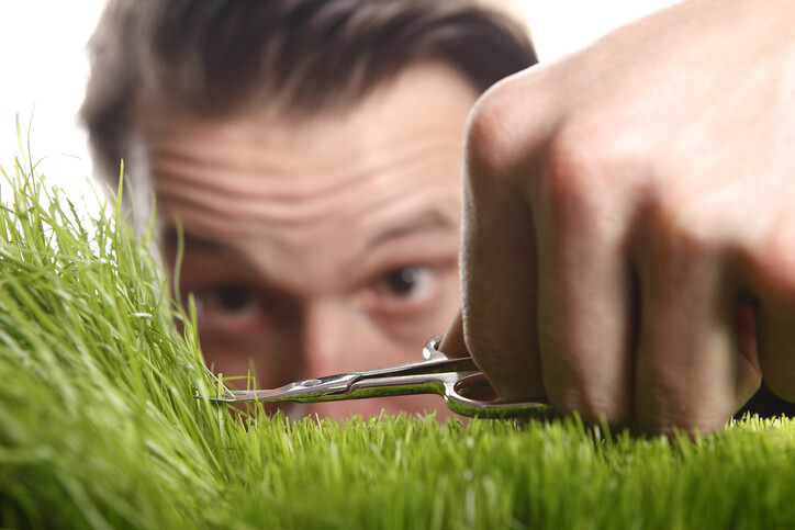 perfectionist man cutting grass with scissors