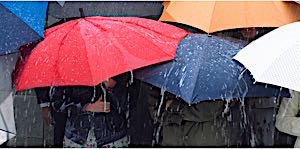 people under umbrellas in pouring rain